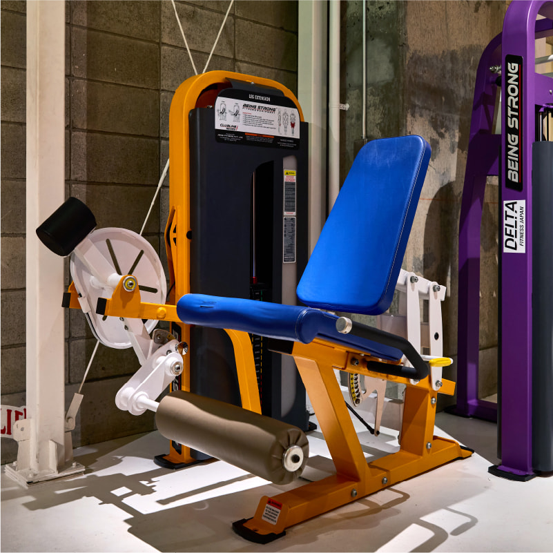 レッグエクステンション