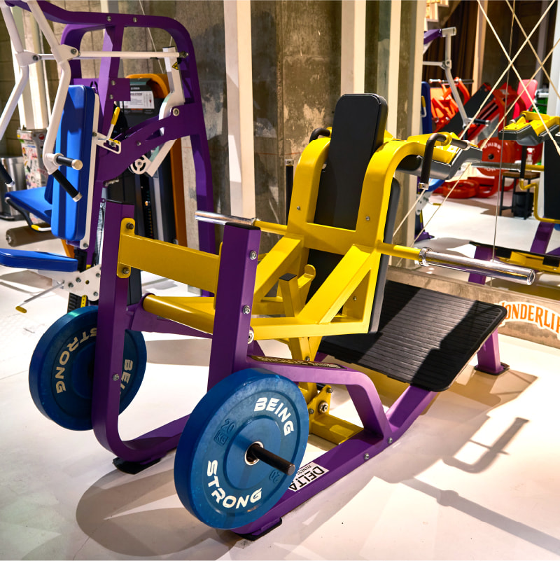 ハックスクワット