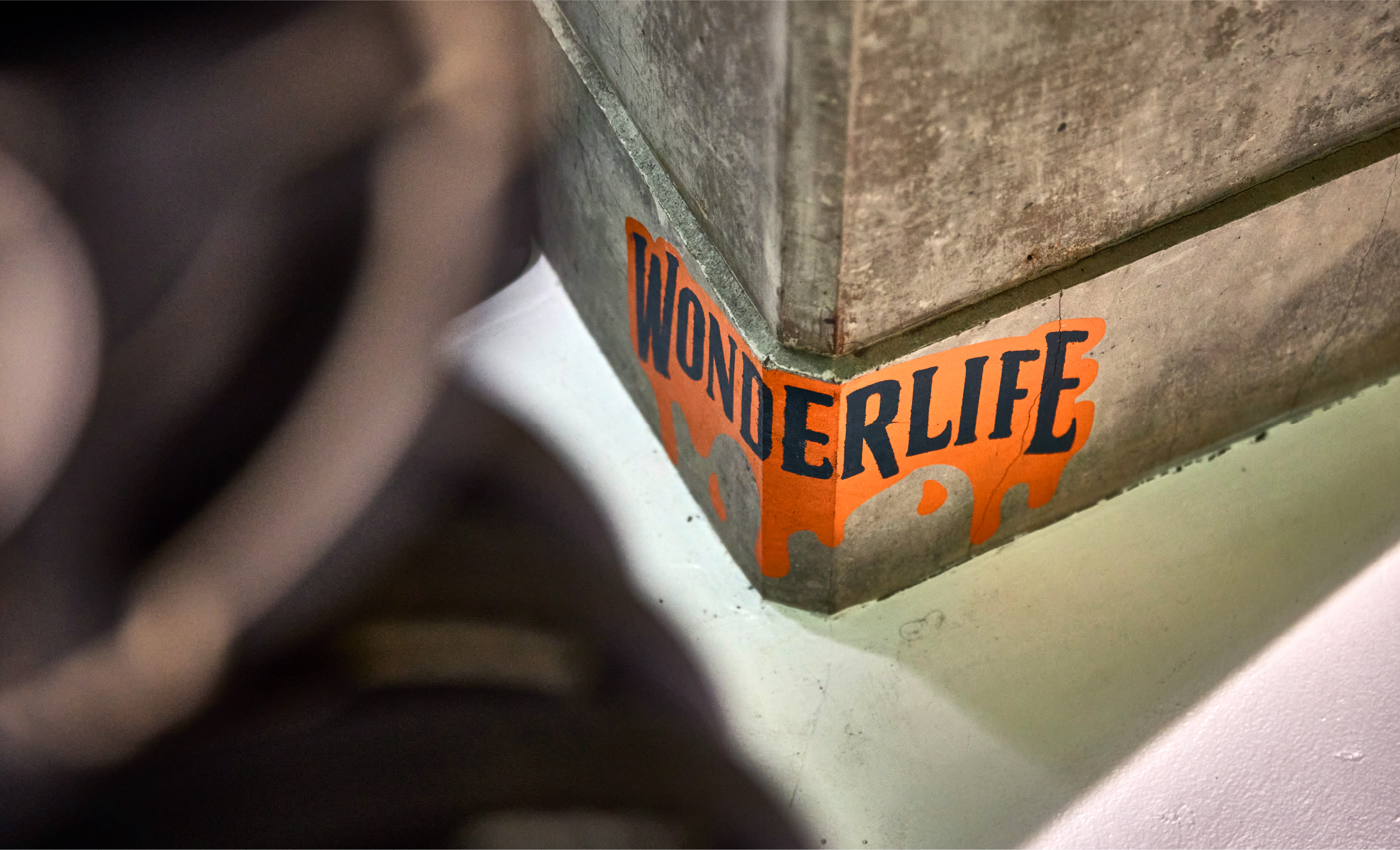 トレーナー・スタッフの画像